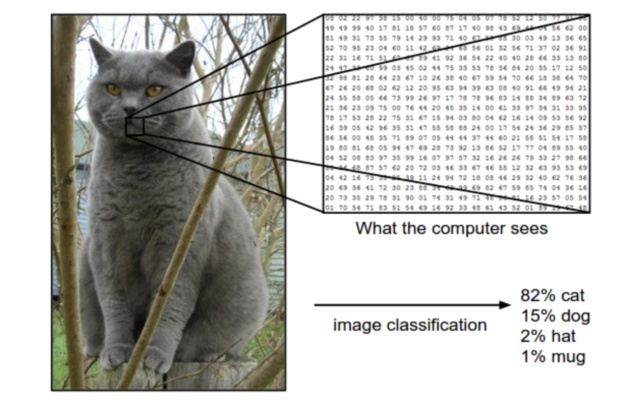 image-20260302101508695