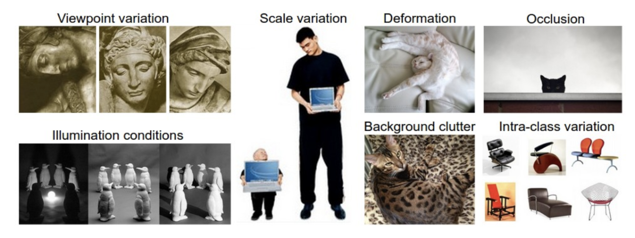 image-20260302105923228