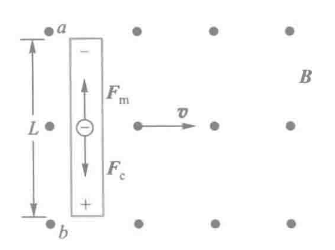 image-20251028214424929