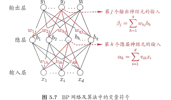 image-20260210204647595