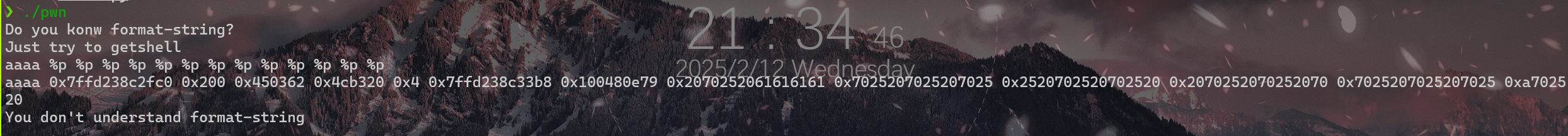 image-20250212213454833